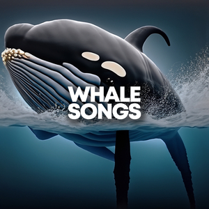 Whales