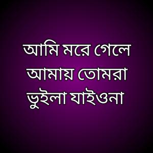 আমি মরে গেলে আমায় তোমরা ভুইলা যাইওনা