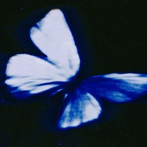 残破*（Prod.yvngwav）