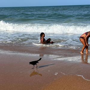 I FELL IN LOVE AGAIN