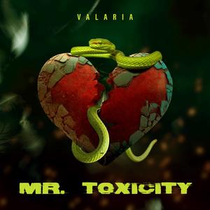 Mr.Toxicity