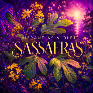Sassafras