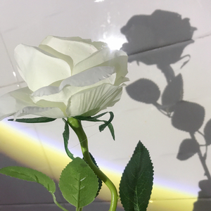 体温波动0.2 ℃（Prod.by URBOIWHELAN）