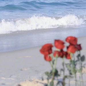 总有一天你会出现在我身边