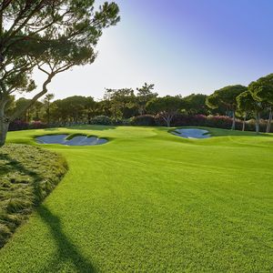 灵动琴音点亮旅行之梦