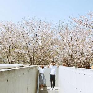 你朝我的方向走来