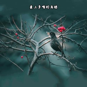 爱错