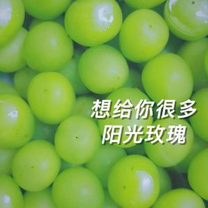 遇见你的时候所有星星都落到我头上