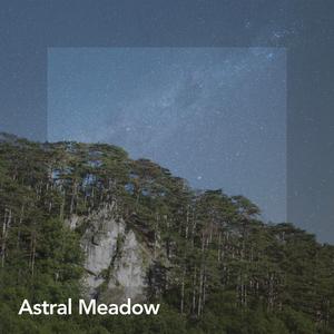 Positive Mindset 528 Hz