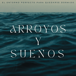 Relajación Y Paz