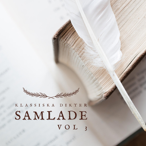 Tryggare kan ingen vara