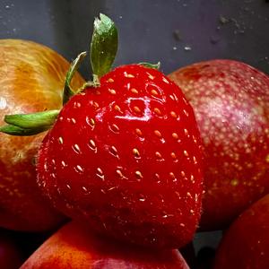 Світ музики