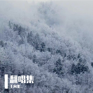 玛尼情歌（片段）