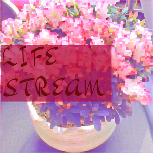 Life Stream