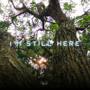 I'm Still Here