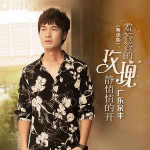 羞答答的玫瑰静悄悄的开DJ大金 (DJ大金版)