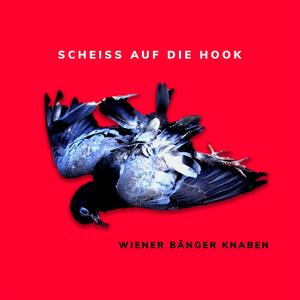 Warlords Aus Kinshasa