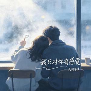 我只对你有感觉
