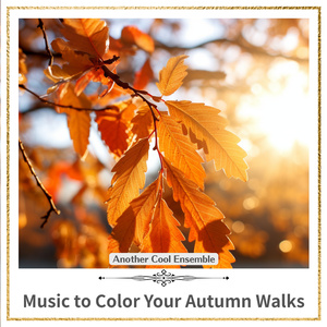 Autumn Sonata of The Forest