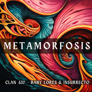 El Paquetico (feat. Insurrecto, Daudy & El Bicho)