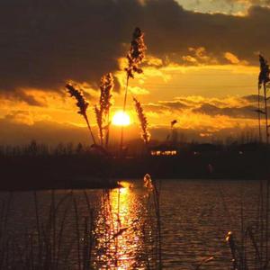 无边丝雨细如愁