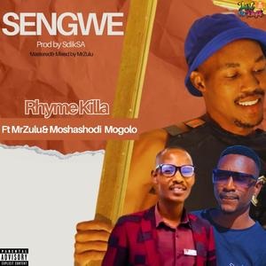 Sengwe (feat. Moshashodi Mogolo & MrZulu)