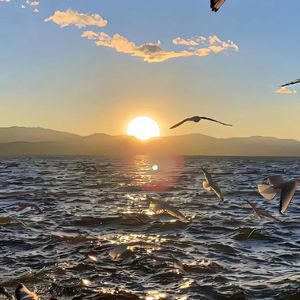 冰镇星辰下的恋曲