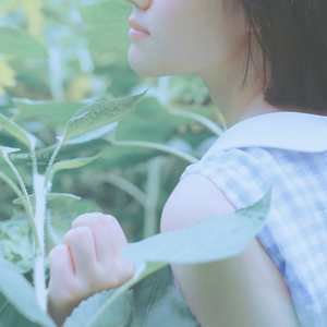 여름이 오는 소리