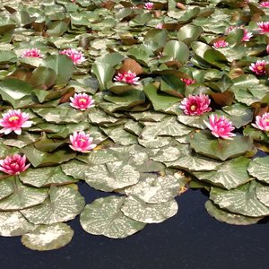 长长的路慢慢的走