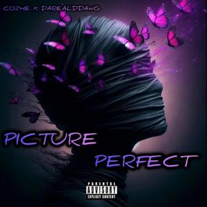 Picture Perfect (feat. darealddawg)