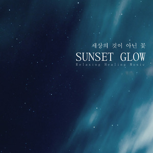 세상의 것이 아닌 꽃