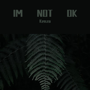 XMASwu-IM NOT OK(Remix)（Kenzo remix）