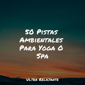 Vida Saludable