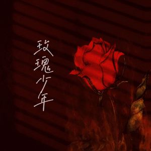 玫瑰少年