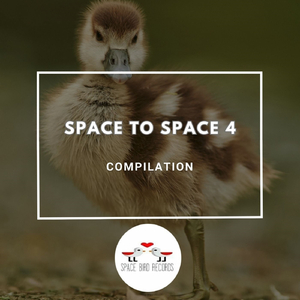 Shanghai Skyline Synthesis