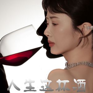 宝爷 - 人生这杯酒 女声中音版 伴奏