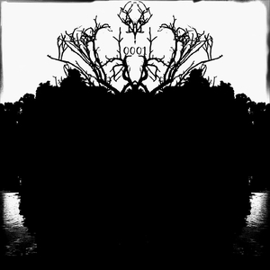 Transcomunicación instrumental