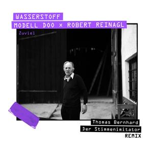 Zuviel (remix) (remix)