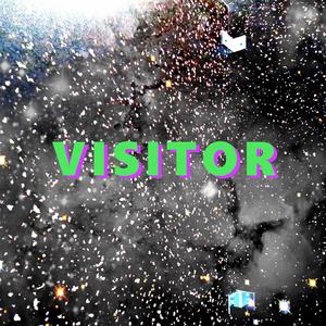 Visitor