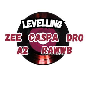 Levelling (feat. MC Zee, MC Caspa, M.C Dro & A2)
