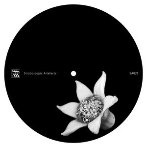 Stranded (Paula Temple Remix)