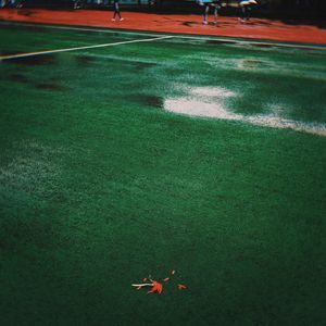 冬天暖阳把学校草坪晒得滚烫但风吹的哥心冰凉