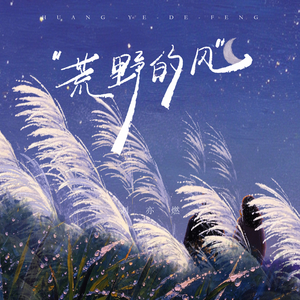 荒野的风 (伴奏)
