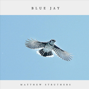 Blue Jay