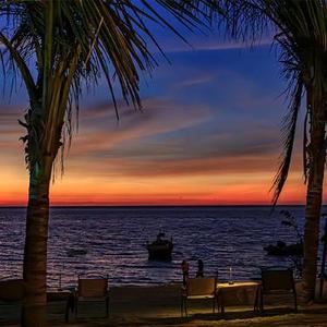 爱上什么也不为过