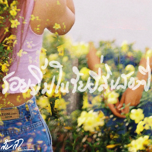 รอยยิ้มในวัยยี่สิบสองปี