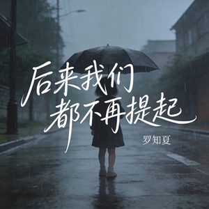 后来我们都不再提起（抒情版）