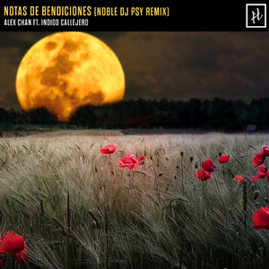 Notas de Bendiciones (Noble DJ Psy Remix)