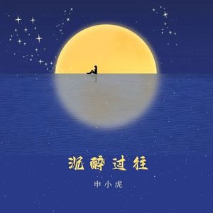 沉醉过往
