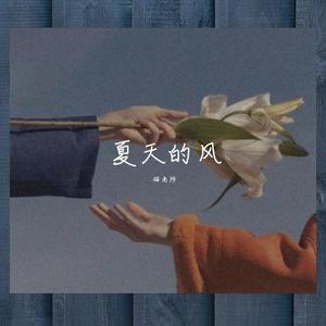 夏天的风
